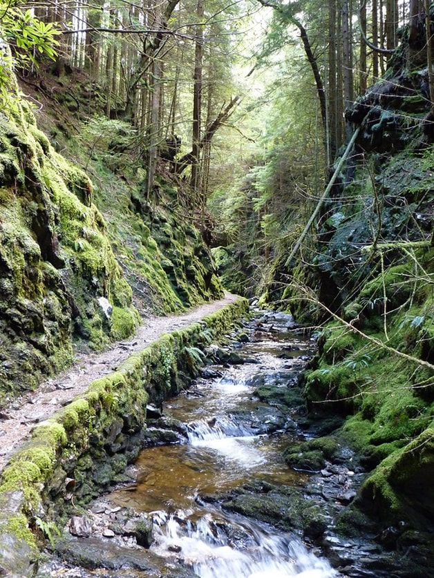 A Scottish glen with green trees and mossy rocks on each side.  There is a path and stream running down the middle.
