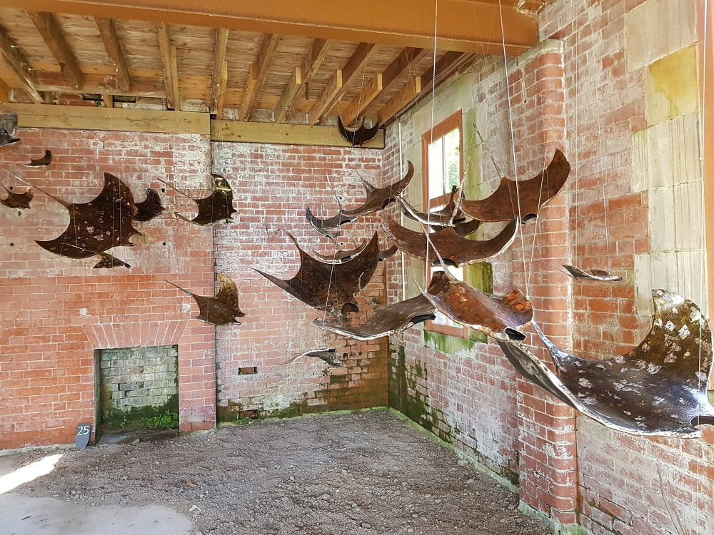 Metallic sculptures of ray fish hanging from a wooden ceiling