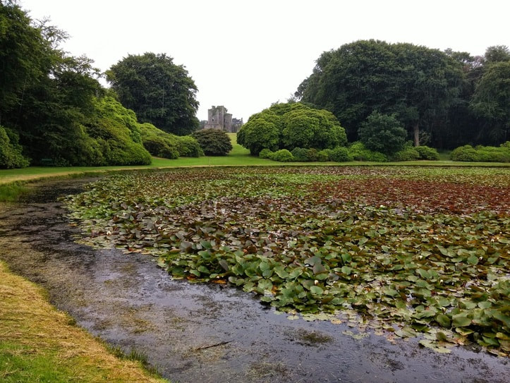 a pond covered in lilies with a ruined castle in the background