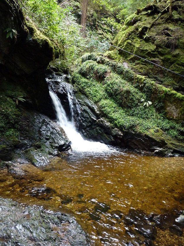 A waterfall ending in a clear pool of water in a green glen.