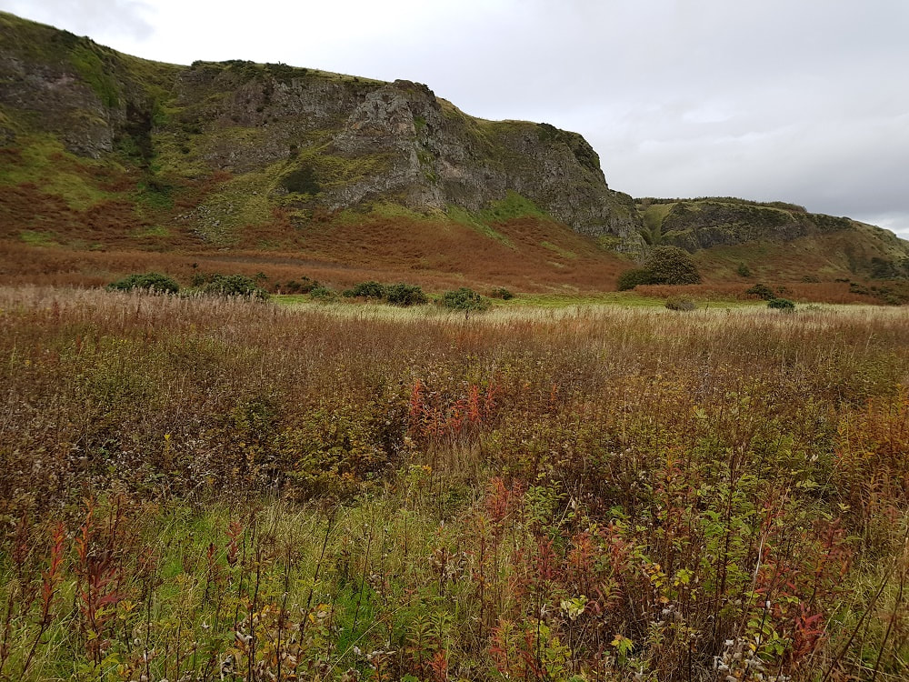 Grassland with cliffs in the distnce